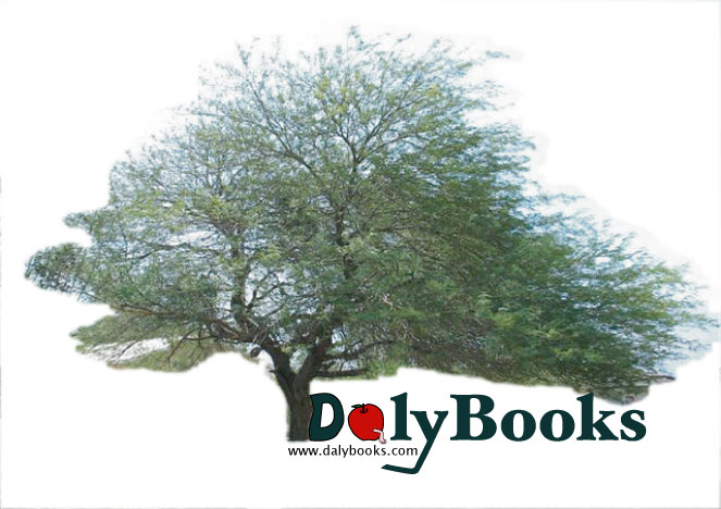 Dalybooks Logo